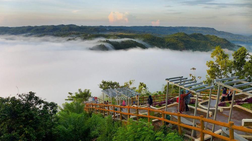 Foto Kebun Buah Mangunan